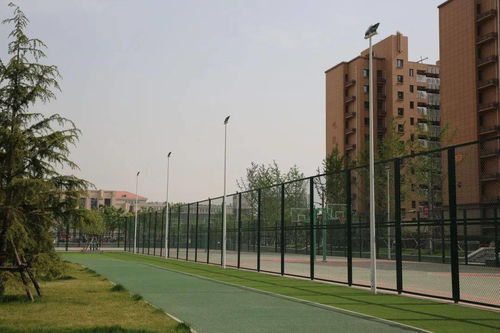 陜建古建園林集團(tuán)榮獲園林工程獎 銅獎